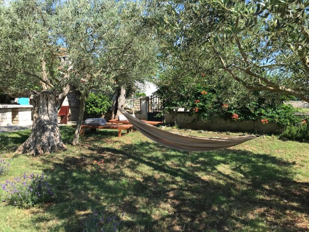 Farmhouse Cubani Bale Luaran gambar